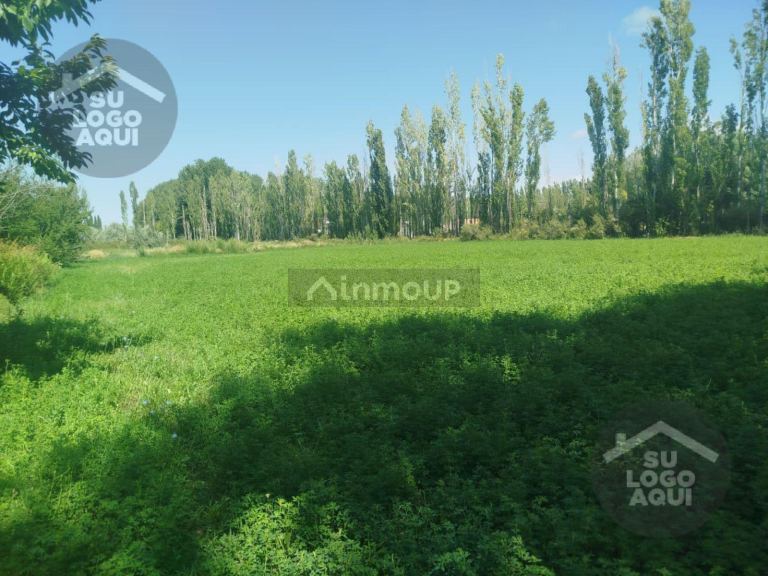Terreno en Venta en Confluencia, Neuquen