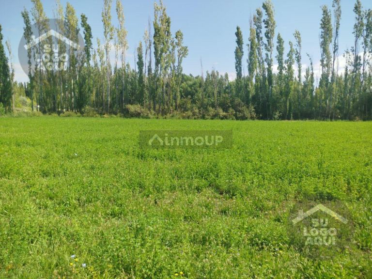 Terreno en Venta en Confluencia, Neuquen