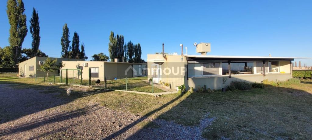 Viñedo en Venta en Tupungato, Mendoza