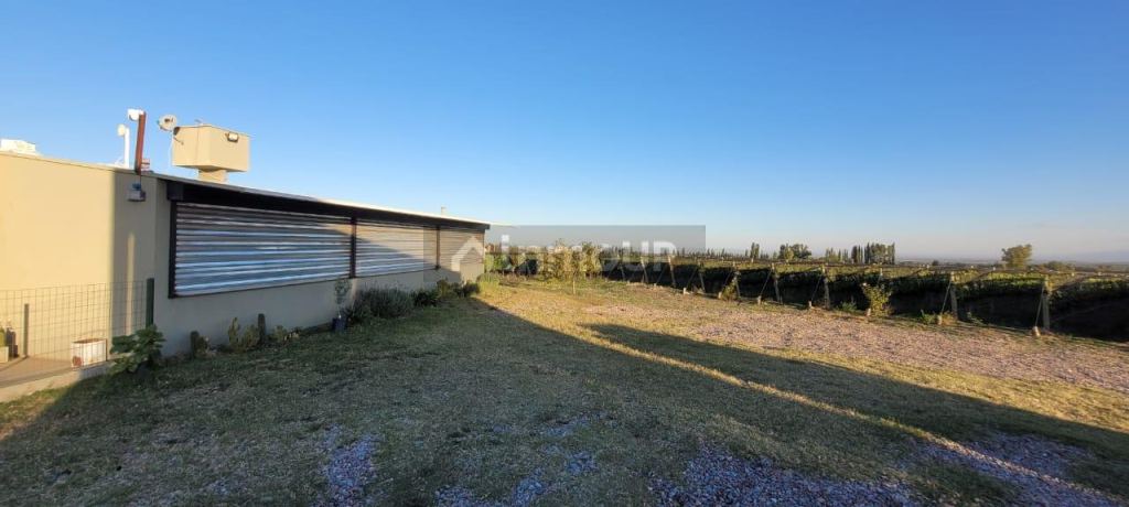 Viñedo en Venta en Tupungato, Mendoza