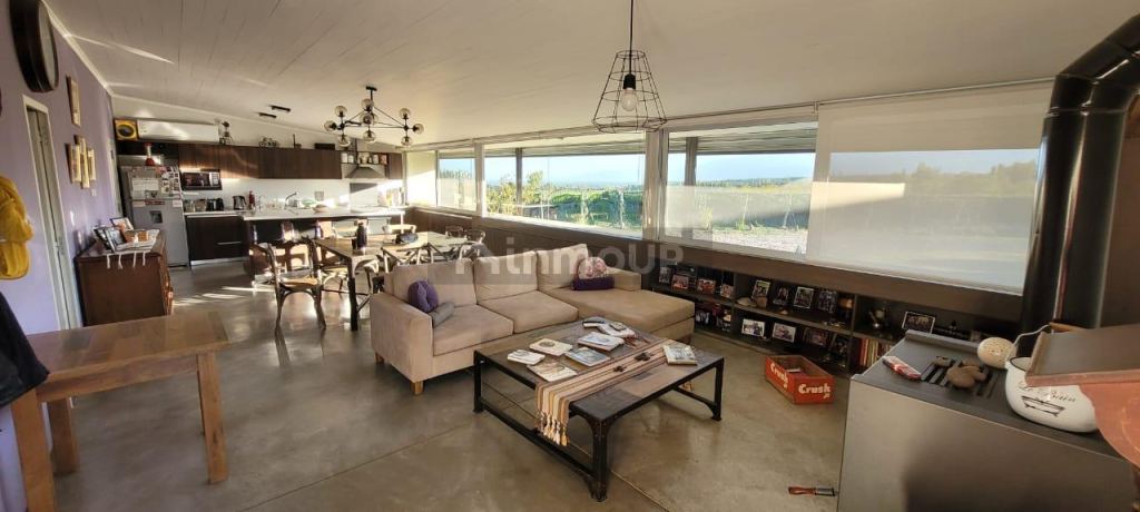 Viñedo en Venta en Tupungato, Mendoza