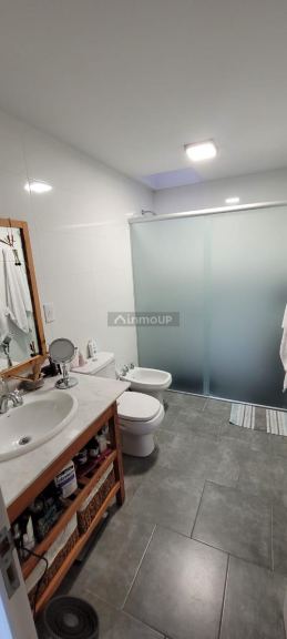 Viñedo en Venta en Tupungato, Mendoza