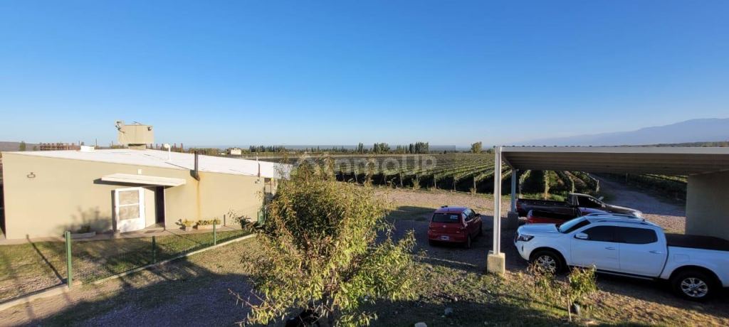 Viñedo en Venta en Tupungato, Mendoza