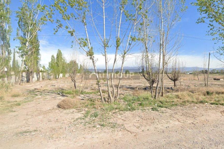 Lote en Alquiler en Lujan de Cuyo, Mendoza