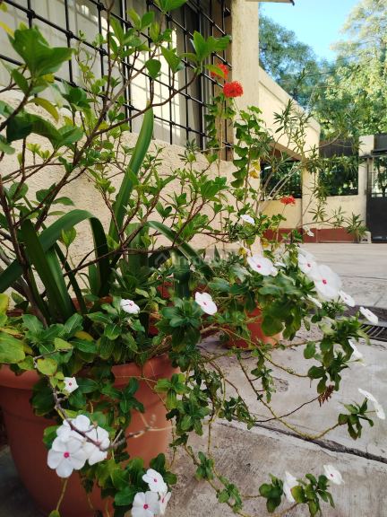 Departamento en Alquiler en Capital, Mendoza