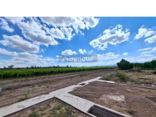 Maipu Videla Aranda S/n, Maipú, Maipú, Mendoza