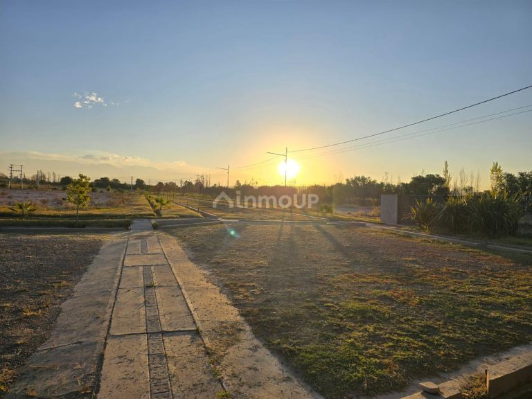 Terreno en Venta en Maipu, Mendoza