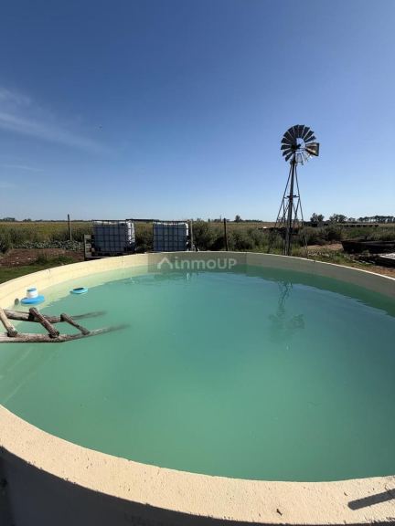 Campo en Venta en Rosario, Santa Fe