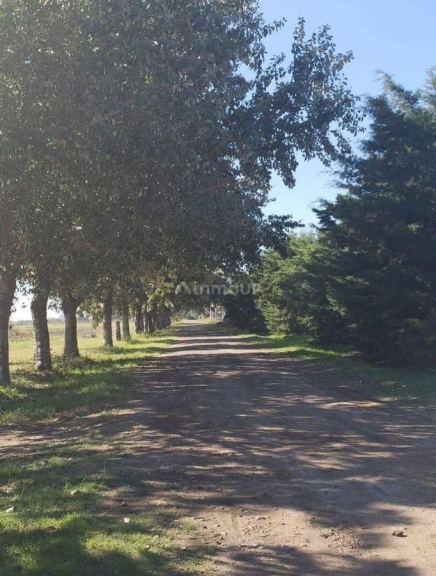 Terreno en Venta en Rosario, Santa Fe