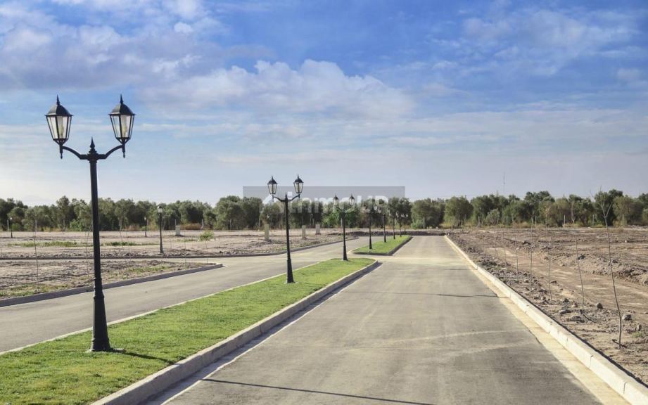 Lote en Venta en Lujan de Cuyo, Mendoza