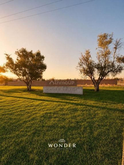 Lote en Venta en Lujan de Cuyo, Mendoza