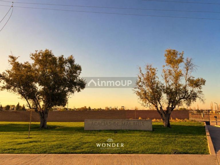 Lote en Venta en Lujan de Cuyo, Mendoza