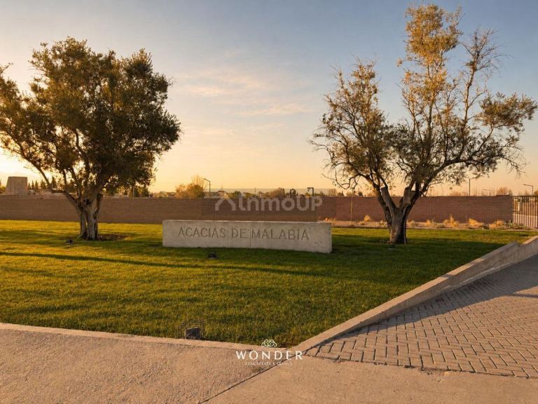 Lote en Venta en Lujan de Cuyo, Mendoza