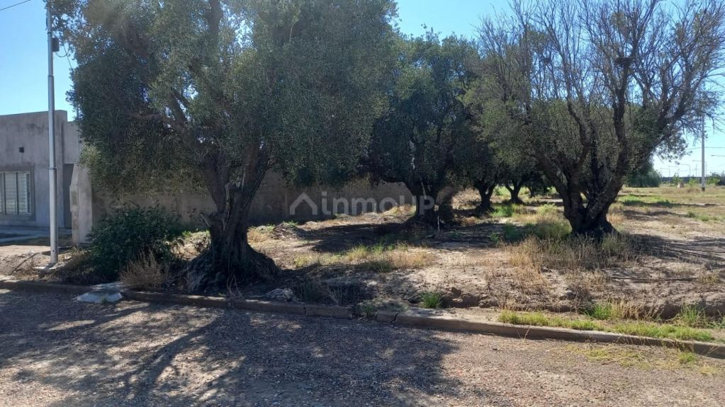 Lote en Venta en San Rafael, Mendoza