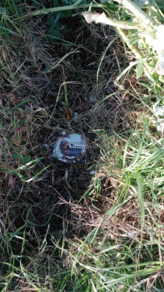 Lote en Venta en San Rafael, Mendoza