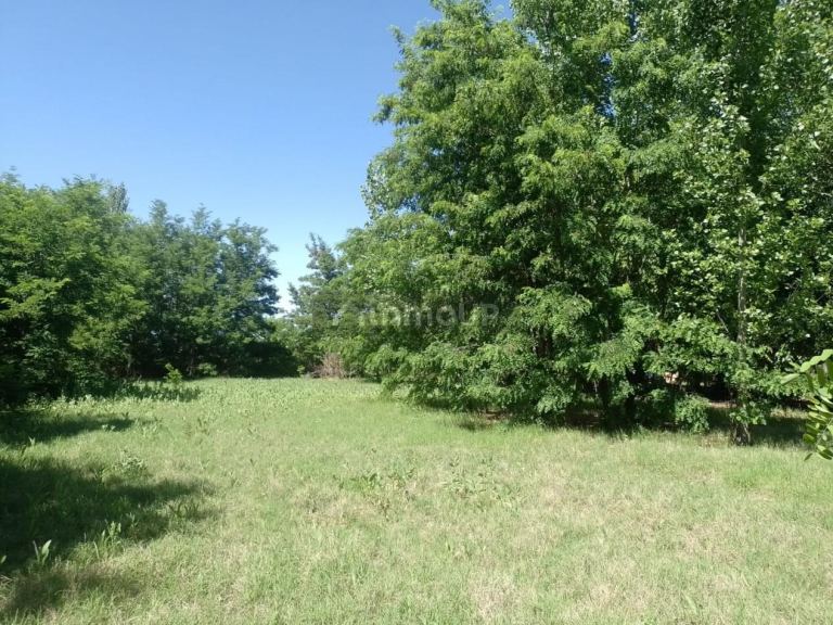 Campo en Venta en San Rafael, Mendoza