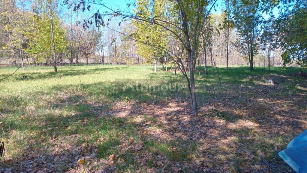 Campo en Venta en San Rafael, Mendoza