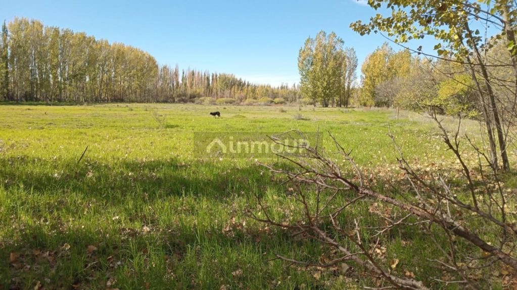 Campo en Venta en San Rafael, Mendoza