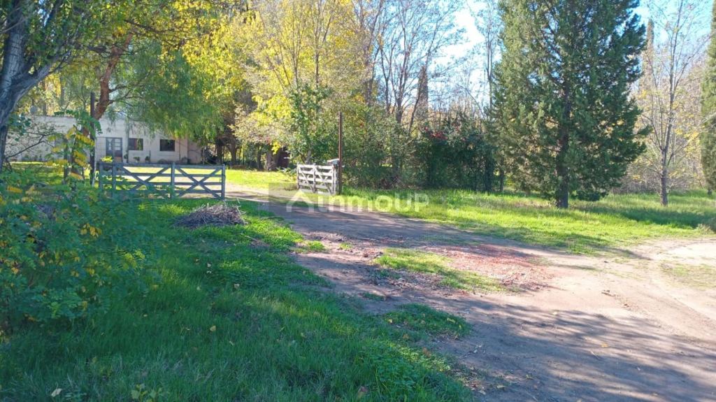 Campo en Venta en San Rafael, Mendoza