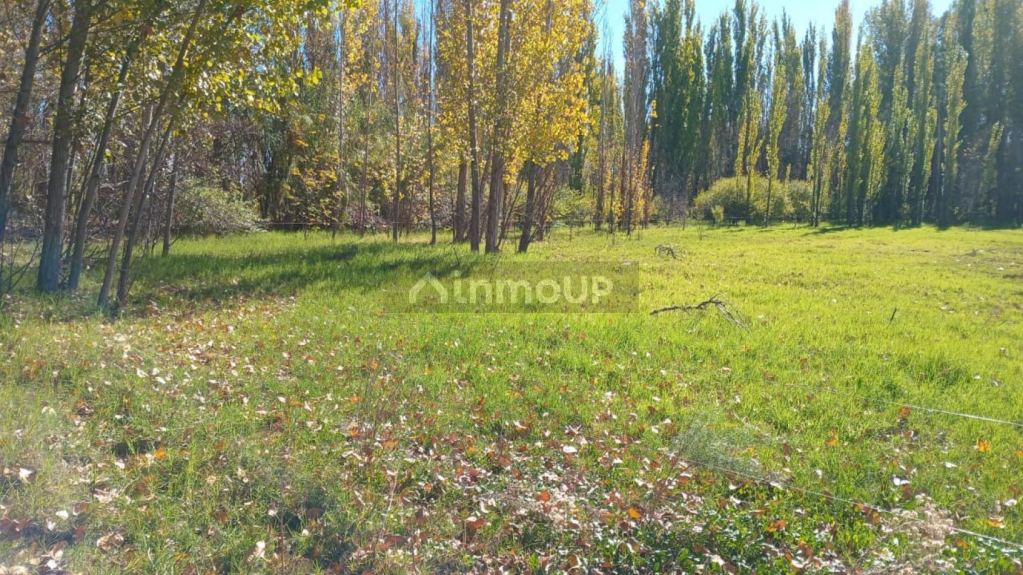 Campo en Venta en San Rafael, Mendoza