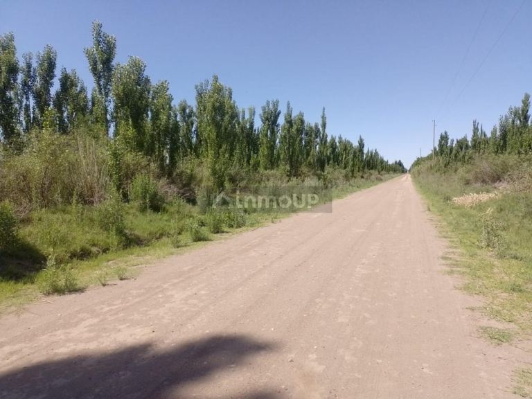 Campo en Venta en San Rafael, Mendoza