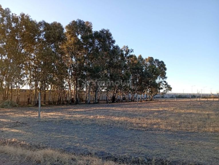 Lote en Venta en San Rafael, Mendoza