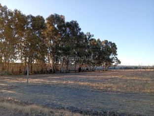 San Rafael Los Filtros 8500 San Rafael Mendoza Argentina