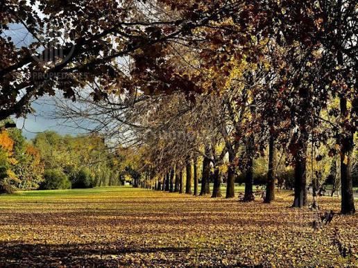 Terreno en Venta en Ezeiza, G.B.A. Zona Sur