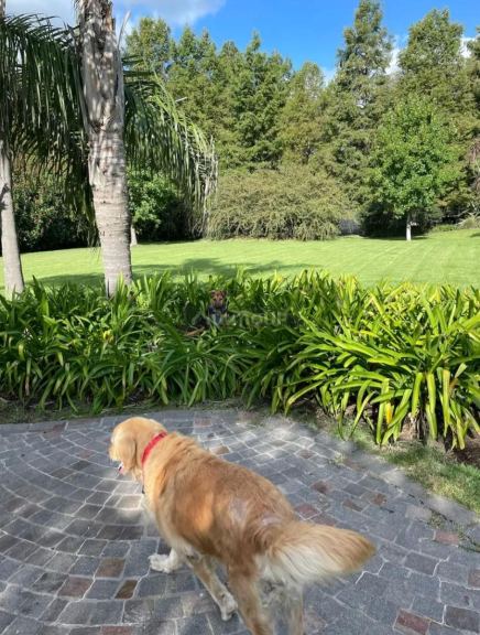 Terreno en Venta en Ezeiza, G.B.A. Zona Sur