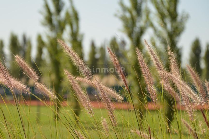 Terreno en Venta en Ezeiza, G.B.A. Zona Sur