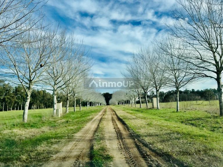 Terreno en Venta en Ezeiza, G.B.A. Zona Sur