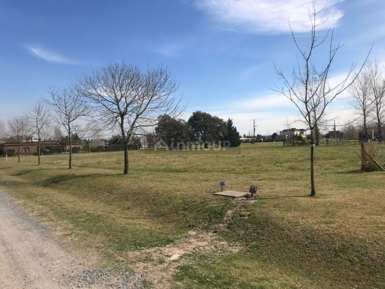 Terreno en Venta en San Vicente, G.B.A. Zona Sur