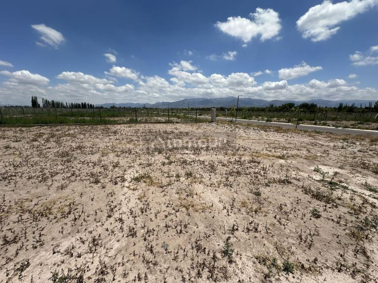 Lote en Venta en Lujan de Cuyo, Mendoza