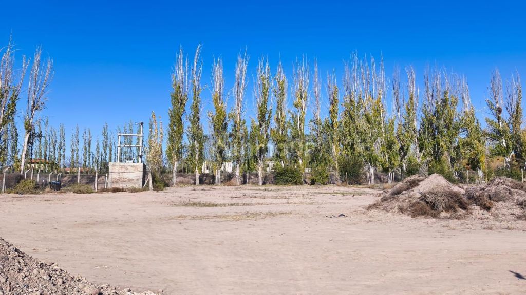 Terreno en Venta en Lujan de Cuyo, Mendoza