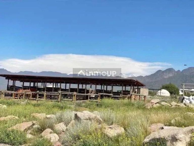 Terreno en Venta en Lujan de Cuyo, Mendoza