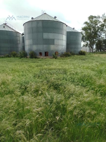 Campo en Alquiler en Pergamino, Buenos Aires Interior