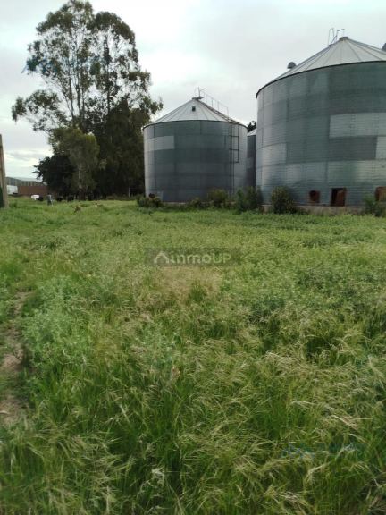 Campo en Alquiler en Pergamino, Buenos Aires Interior
