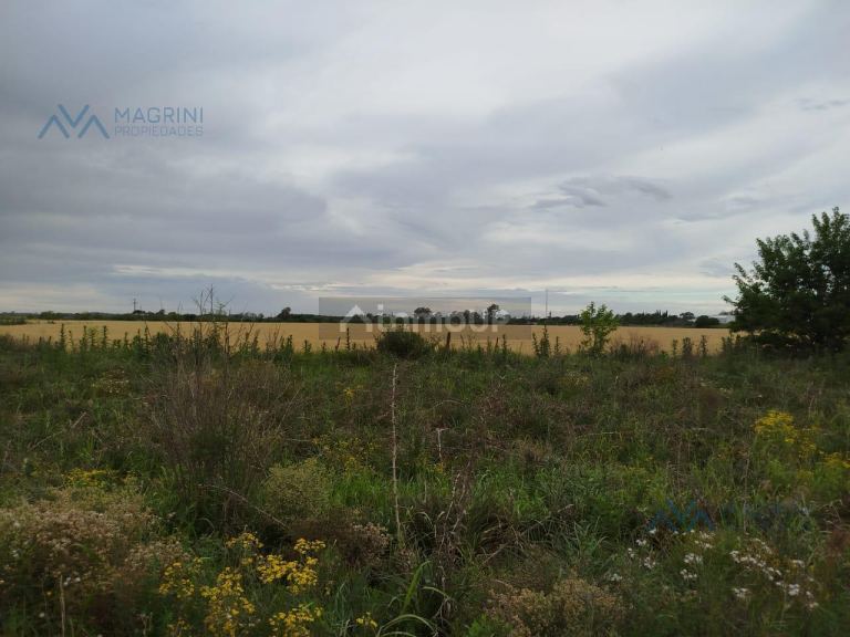 Campo en Alquiler en Pergamino, Buenos Aires Interior