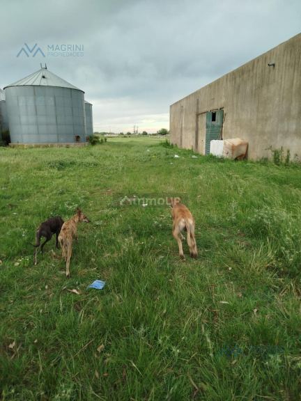 Campo en Alquiler en Pergamino, Buenos Aires Interior