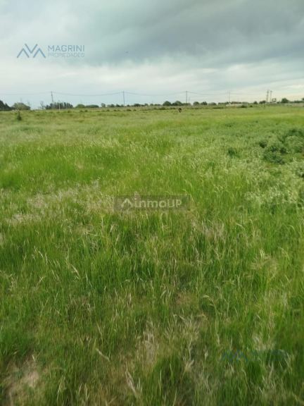 Campo en Alquiler en Pergamino, Buenos Aires Interior
