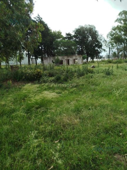 Campo en Alquiler en Pergamino, Buenos Aires Interior