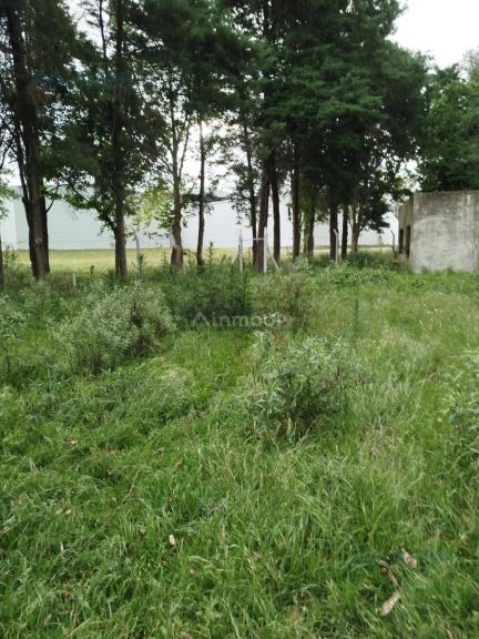 Campo en Alquiler en Pergamino, Buenos Aires Interior