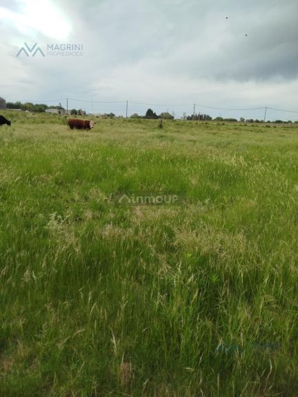 Campo en Alquiler en Pergamino, Buenos Aires Interior