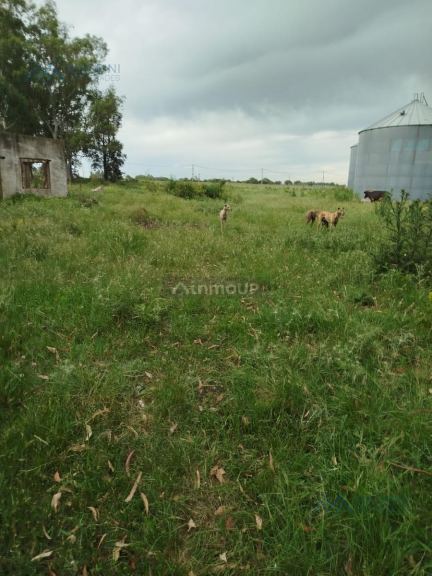Campo en Alquiler en Pergamino, Buenos Aires Interior