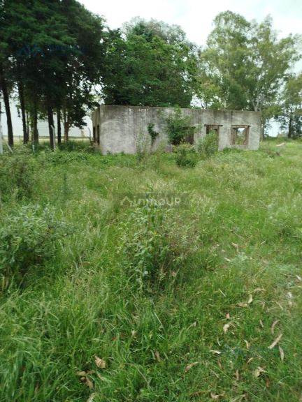 Campo en Alquiler en Pergamino, Buenos Aires Interior