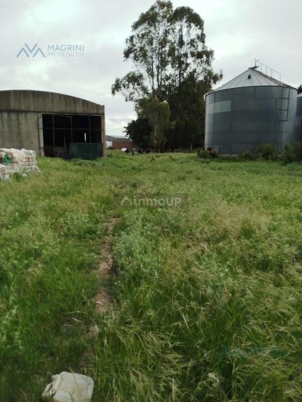Campo en Alquiler en Pergamino, Buenos Aires Interior