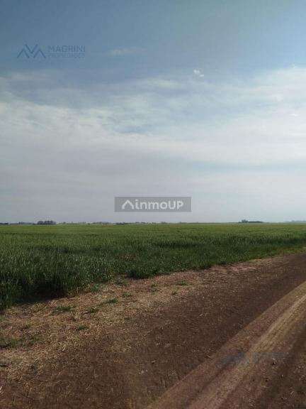 Campo en Venta en Pergamino, Buenos Aires Interior