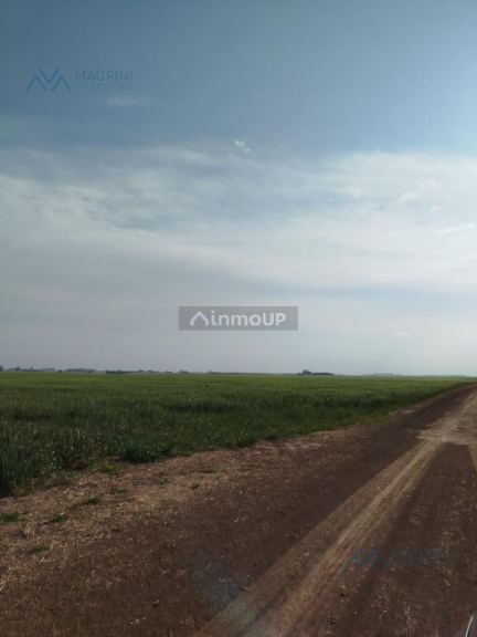 Campo en Venta en Pergamino, Buenos Aires Interior