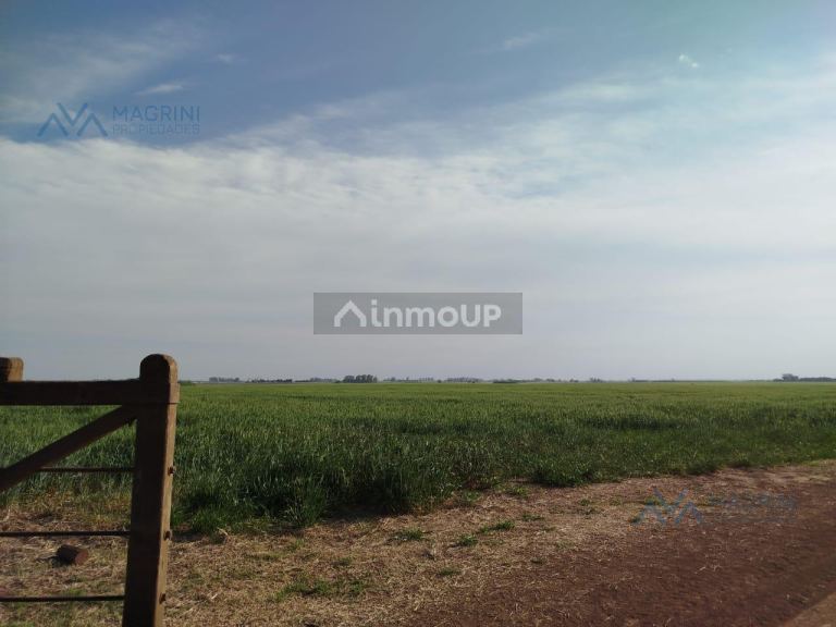 Campo en Venta en Pergamino, Buenos Aires Interior