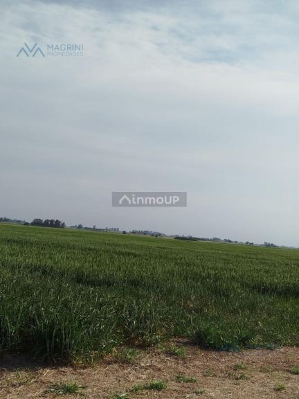 Campo en Venta en Pergamino, Buenos Aires Interior